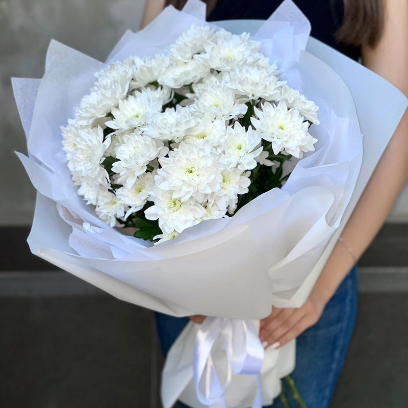 Кустовые хризантемы в объемной упаковке тишью