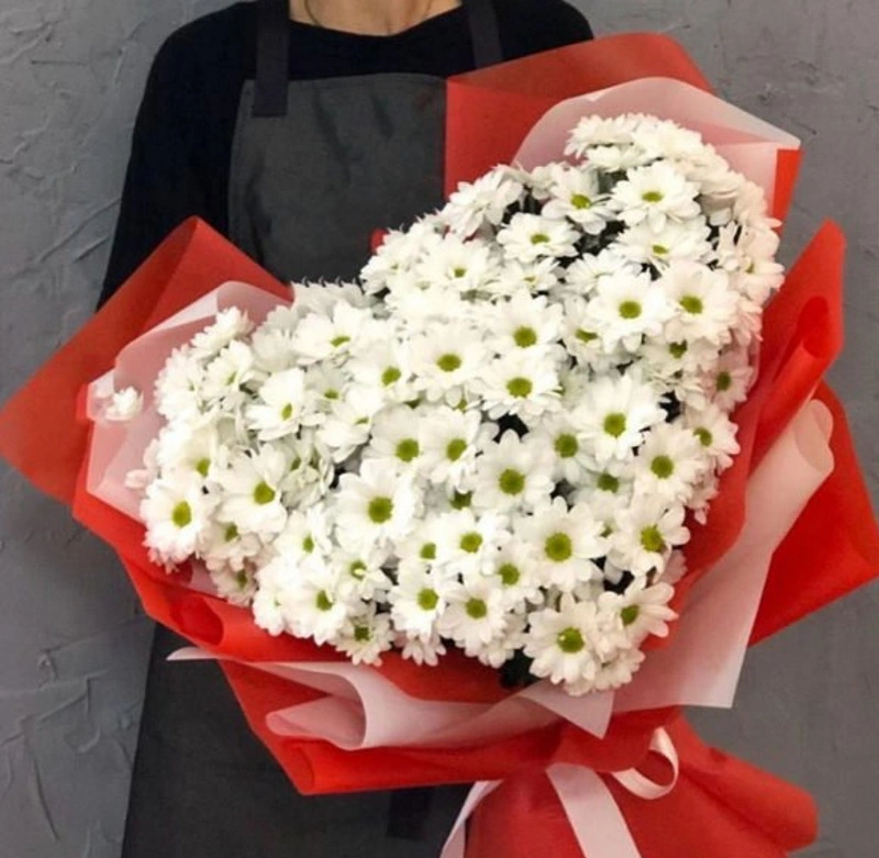 Сердце из 15 хризантем в упаковке